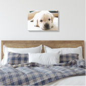 Toile Chiot doré du Labrador doré (Insitu(Chambre))