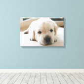 Toile Chiot doré du Labrador doré (Insitu (Plancher de Bois))