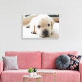 Toile Chiot doré du Labrador doré (Insitu(Salon))