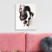 Toile Chiot Edison Boston Terrier. (Insitu(Salon))
