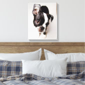 Toile Chiot Edison Boston Terrier. (Insitu(Chambre))
