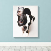 Toile Chiot Edison Boston Terrier. (Insitu (Plancher de Bois))