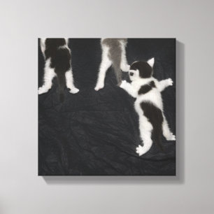 Toile Chiot enroué