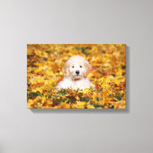 Toile Chiot Goldendoodle En Feuilles Automnes (Recto)