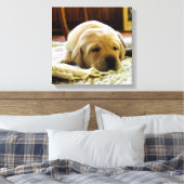 Toile chiot jaune 2 labo (Insitu(Chambre))