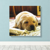 Toile chiot jaune 2 labo (Insitu (Plancher de Bois))