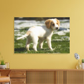 Toile Chiot jouant dans la neige (Insitu(Salon))