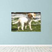 Toile Chiot jouant dans la neige (Insitu (Plancher de Bois))