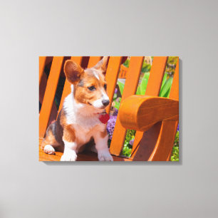 Toile chiot Pembroke Welsh Corgi assis sur un banc de pa
