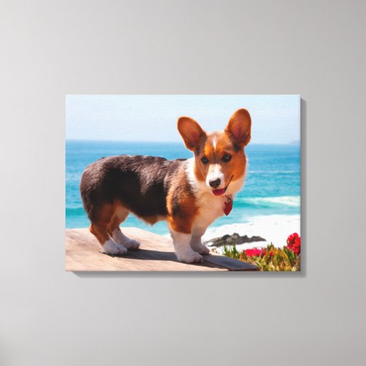 Toile chiot Pembroke Welsh Corgi debout sur une table (Recto)