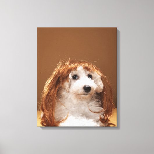 Toile Chiot portant une perruque au gingembre (Recto)