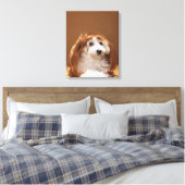 Toile Chiot portant une perruque au gingembre (Insitu(Chambre))