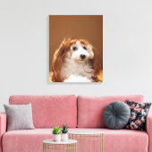 Toile Chiot portant une perruque au gingembre (Insitu(Salon))