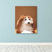 Toile Chiot portant une perruque au gingembre (Insitu (Plancher de Bois))