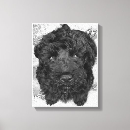 Toile Chiot russe Terrier noir (Recto)