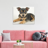 Toile Chiot Très Mignonne Avec Les Yeux Amoureux (Insitu(Salon))