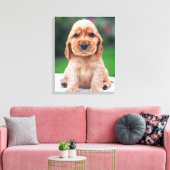Toile Chiots Coker Spaniel (Insitu(Salon))