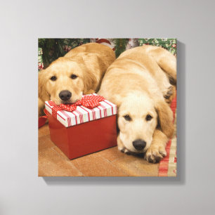 Toile Chiots de golden retriever avec le cadeau de Noël