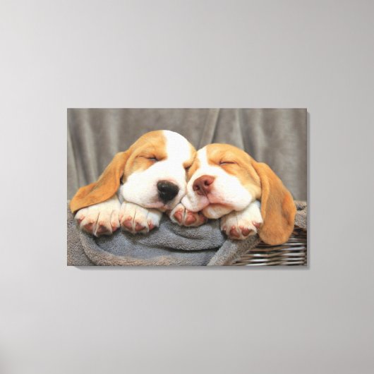 Toile Chiots endormis (Recto)