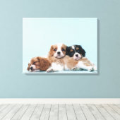 Toile Chiots espagnols Cavalier King Charles (Insitu (Plancher de Bois))