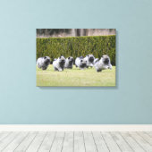 Toile Chiots Keeshond en cours d'exécution (Insitu (Plancher de Bois))