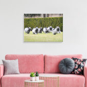 Toile Chiots Keeshond en cours d'exécution (Insitu(Salon))