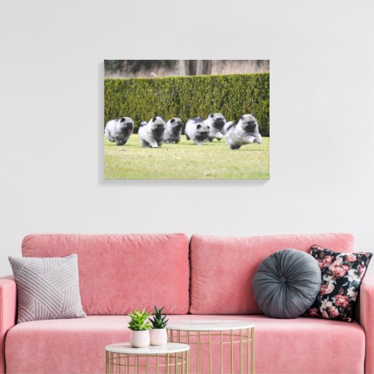 Toile Chiots Keeshond en cours d'exécution (Insitu(Salon))