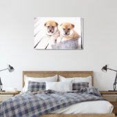 Toile Chiots Shiba Inu dans une baignoire en aluminium (Insitu(Chambre))