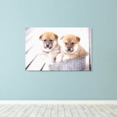 Toile Chiots Shiba Inu dans une baignoire en aluminium (Insitu (Plancher de Bois))