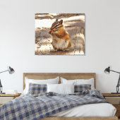 Toile Chipmunk (Insitu(Chambre))
