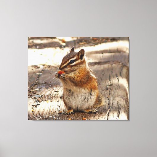 Toile Chipmunk (Recto)