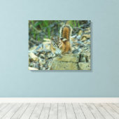 Toile Chipmunk dans le parc national des Glaciers (Insitu (Plancher de Bois))