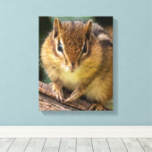 Toile Chipmunk Stare (Insitu (Plancher de Bois))