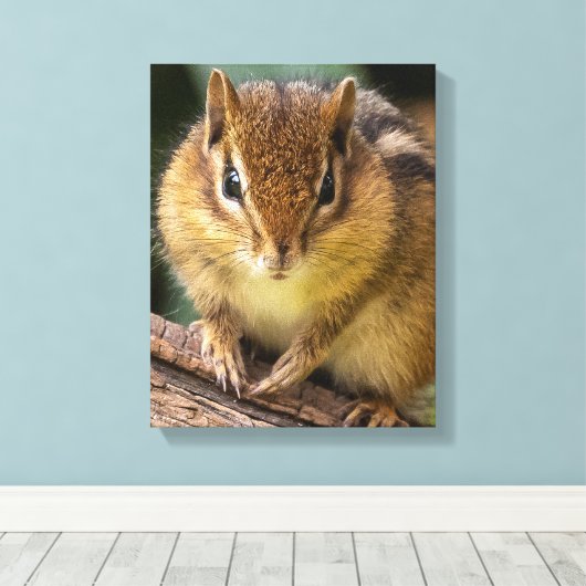 Toile Chipmunk Stare (Insitu (Plancher de Bois))