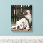 Toile Chippon anglais Bulldog (Insitu (Plancher de Bois))