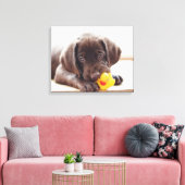 Toile Chocolat Labrador Chiot Avec Canard De Jouet (Insitu(Salon))