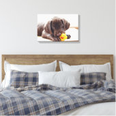 Toile Chocolat Labrador Chiot Avec Canard De Jouet (Insitu(Chambre))