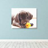 Toile Chocolat Labrador Chiot Avec Canard De Jouet (Insitu (Plancher de Bois))
