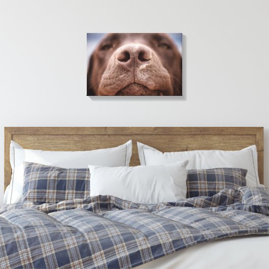 Toile Chocolat Labrador Closeuse du nez (Insitu(Chambre))