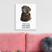 Toile Chocolate Labrador dog photo (Insitu(Salon))