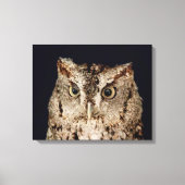 Toile Chouette (Recto)