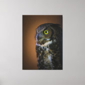 Toile chouette (Recto)