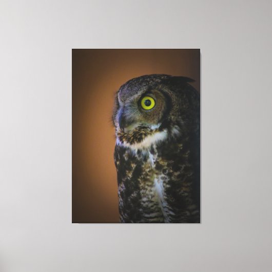 Toile chouette (Recto)