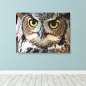 Toile Chouette à cornes (Bubo virginianus) (Insitu (Plancher de Bois))