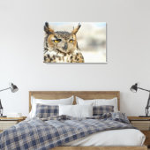 Toile Chouette à cornes (Bubo virginianus), captive (Insitu(Chambre))