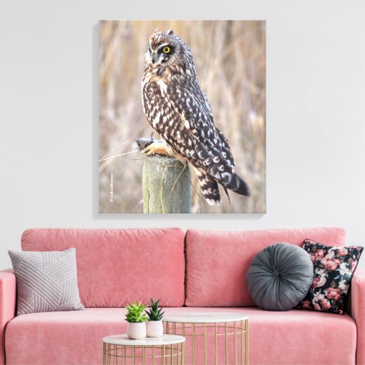 Toile Chouette à courte portée avec trou (Insitu(Salon))