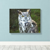 Toile Chouette à grande corne (Insitu (Plancher de Bois))