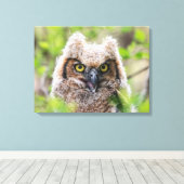 Toile Chouette à grande corne (Insitu (Plancher de Bois))