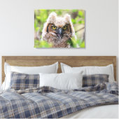 Toile Chouette à grande corne (Insitu(Chambre))