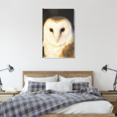 Toile Chouette à mâle (Tyto alba), États-Unis. (Insitu(Chambre))